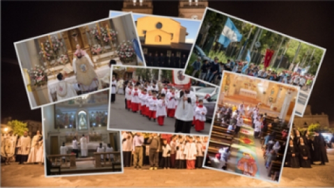 Galeria multimedia
